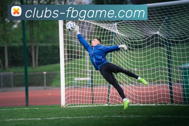 FB体育官网平台生态图