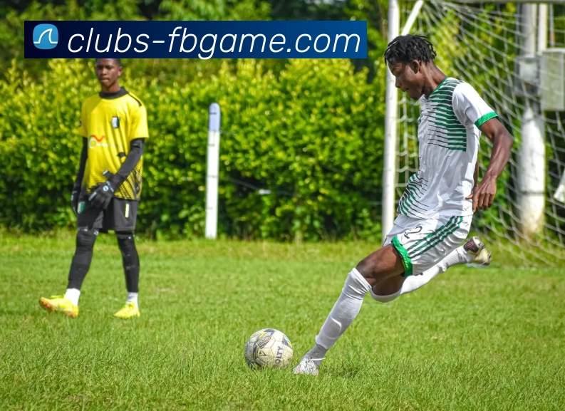 FB体育官网APP 封面图